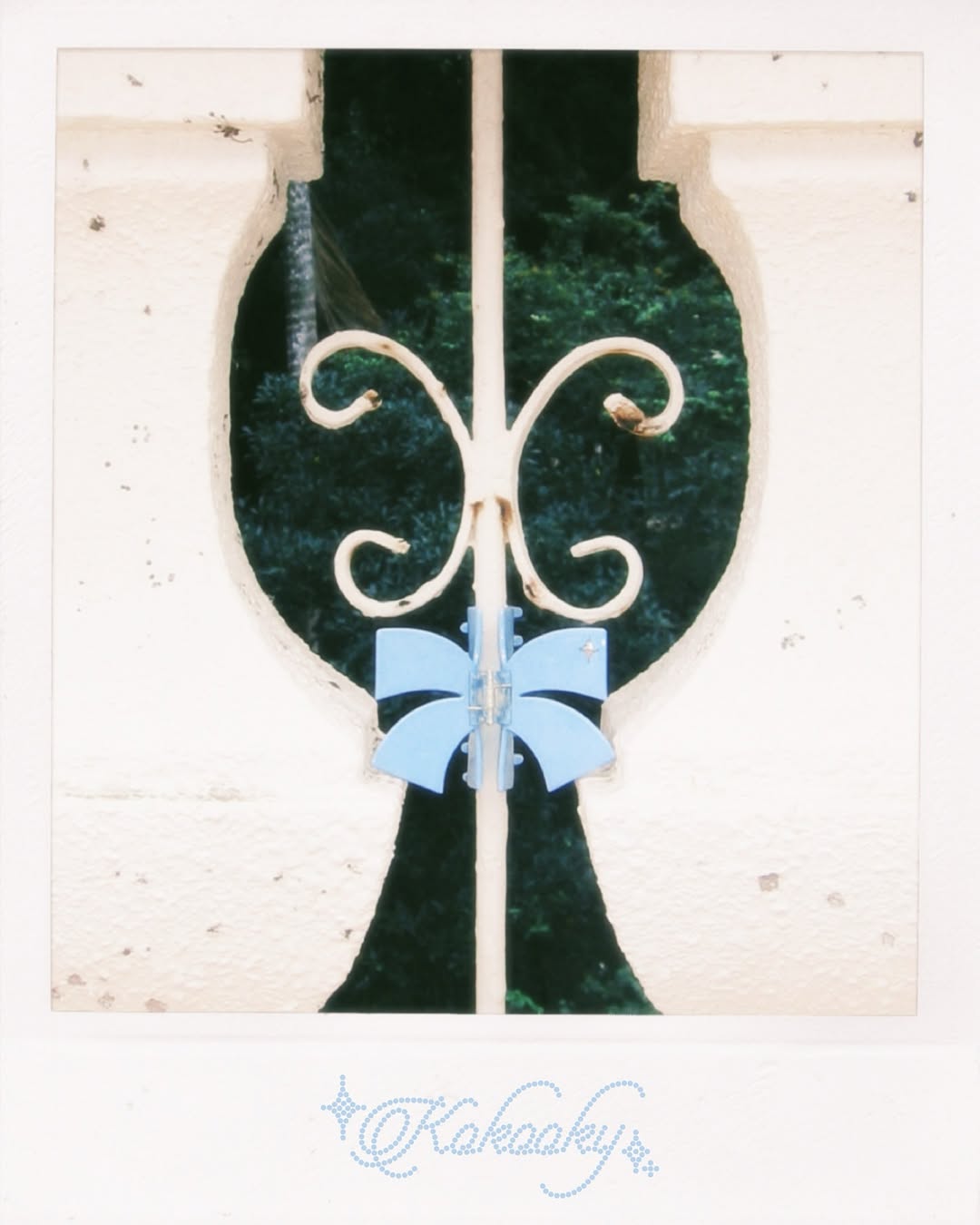 Kokooky / KOKOOKY Hair Claw